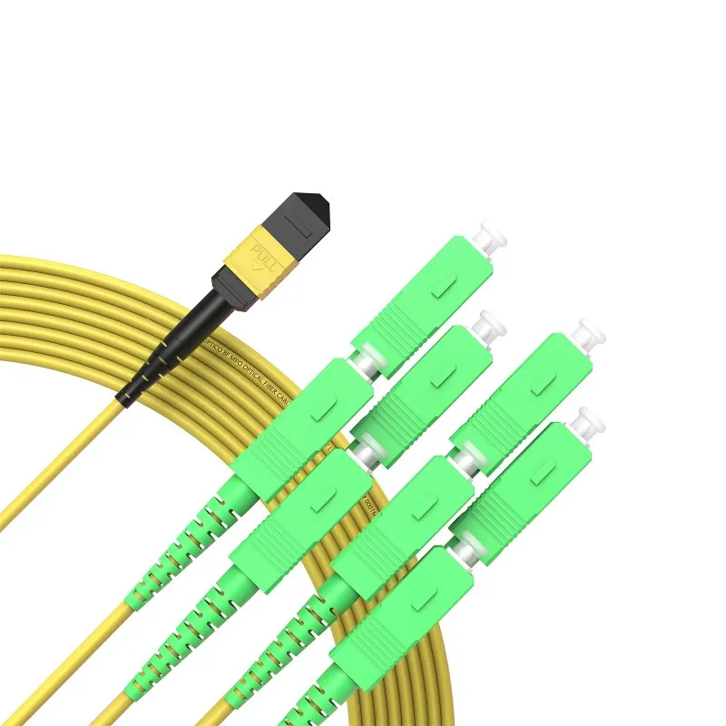 Customized Options of MPO Polarity Customized Options of MPO Polarity