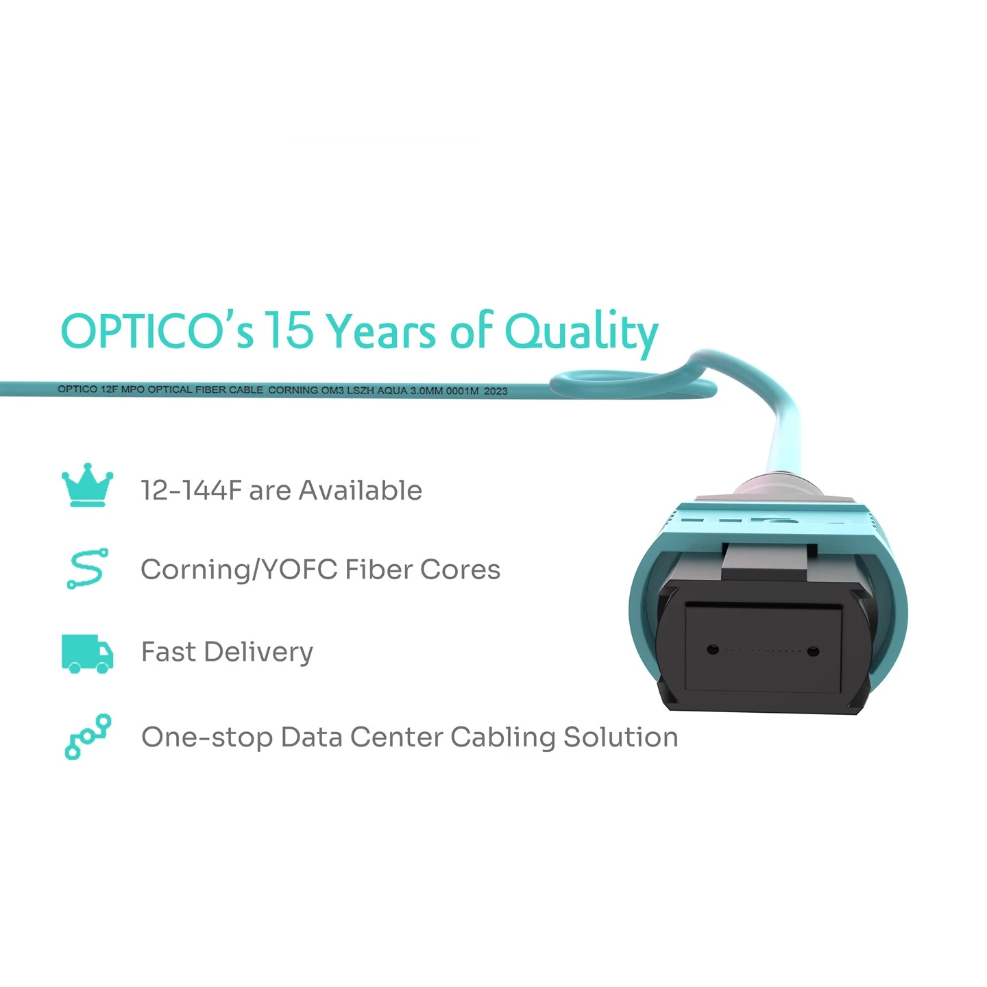 24 Fiber MTP Patch Cord