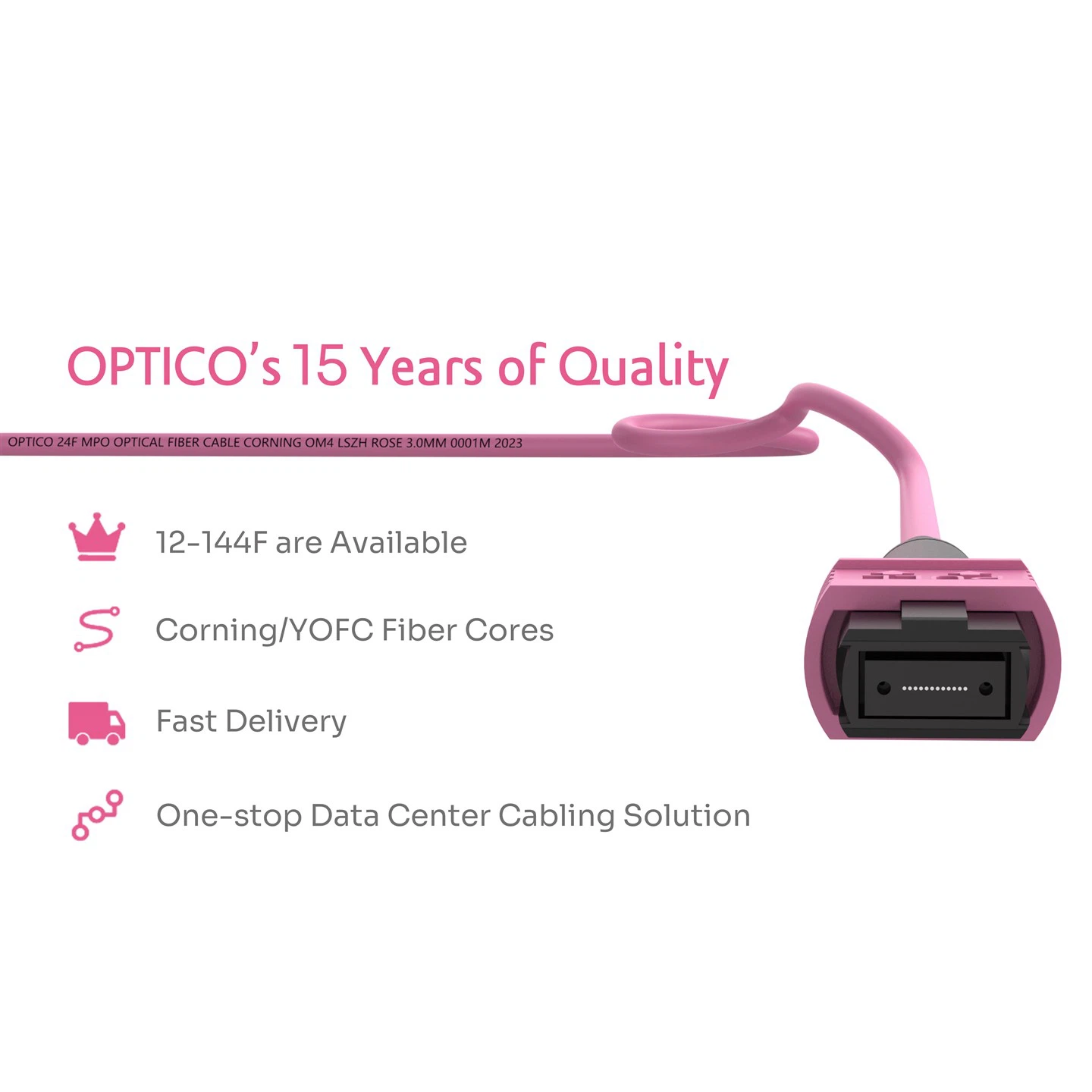 24F 2×12F MPO Male-2×12F MPO Female Trunk Cable OM4