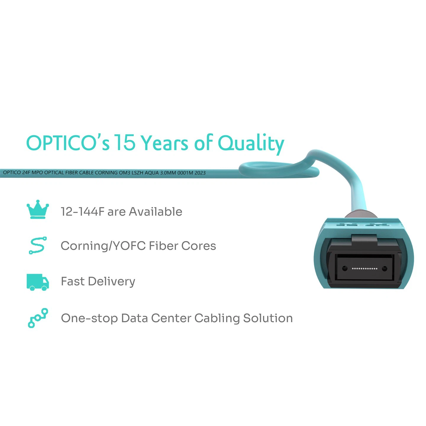 24F MPO Trunk Cable OM3 Female 2×12