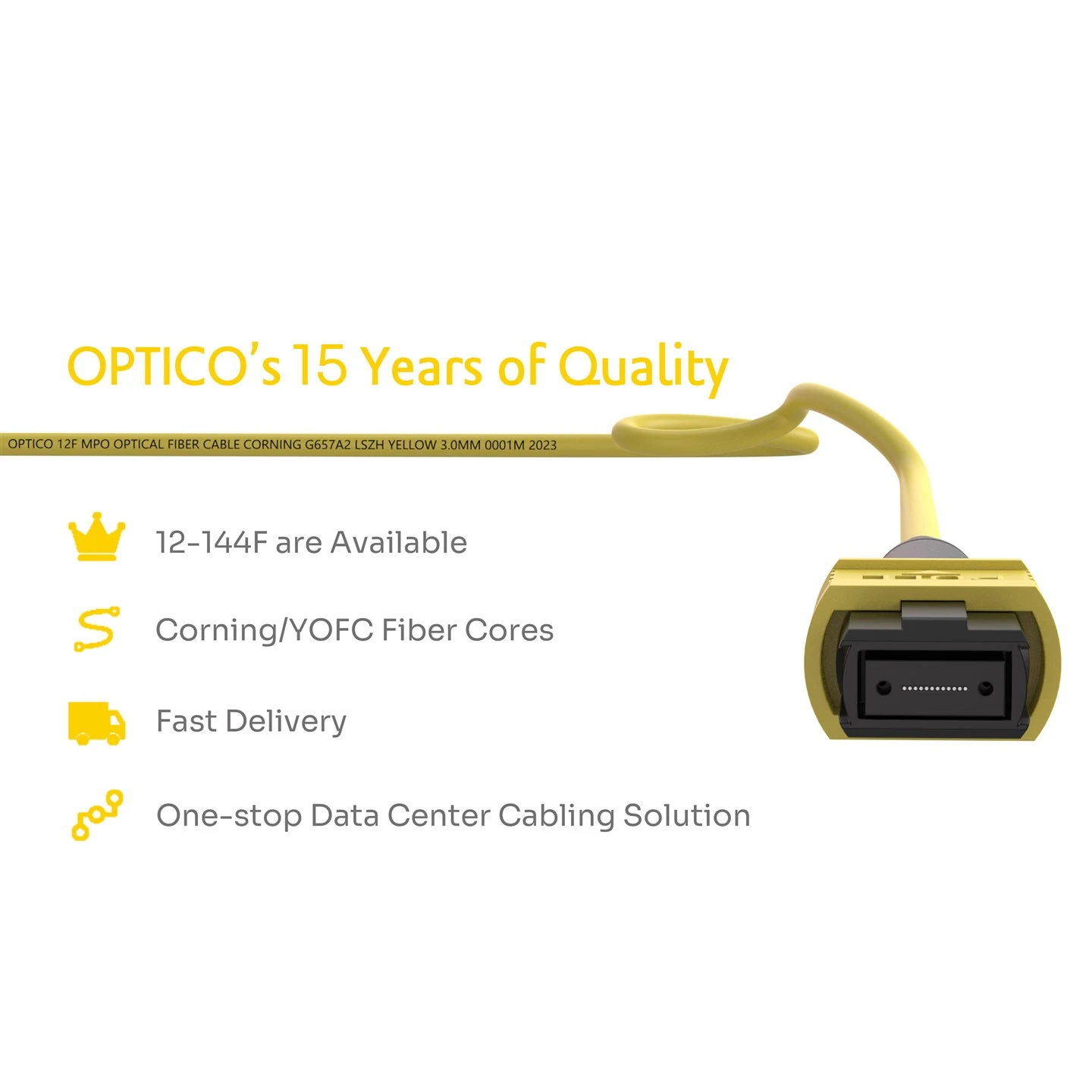 MTP-SC Fiber Optic MPO Patchcord 12 Fibers MTP-SC Fiber Optic MPO Patchcord 12 Fibers