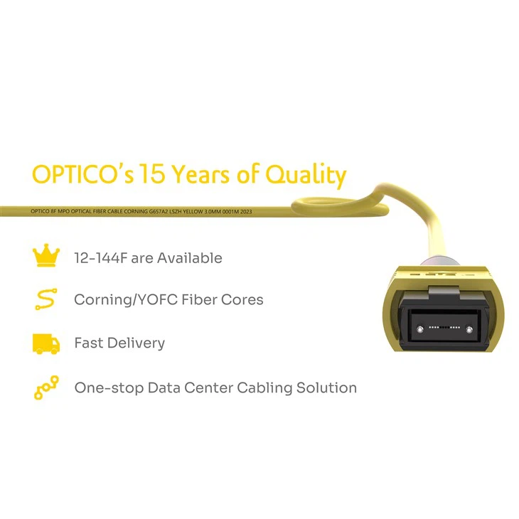 8F MPO To LC Patch Cable